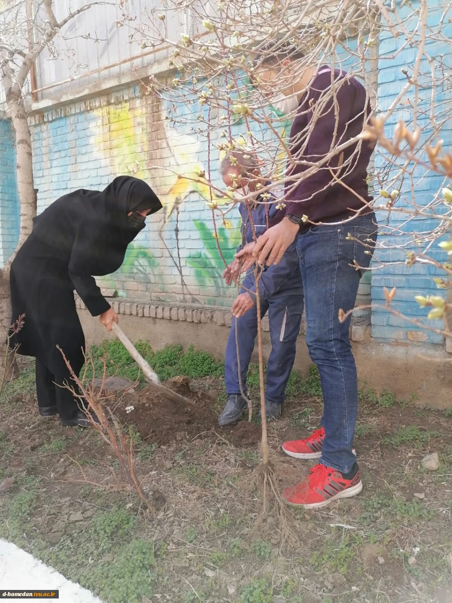 کاشت 7 اصله نهال به نیت شهدای سلامت در هفته درختکاری در محوطه آموزشکده دختران همدان 7