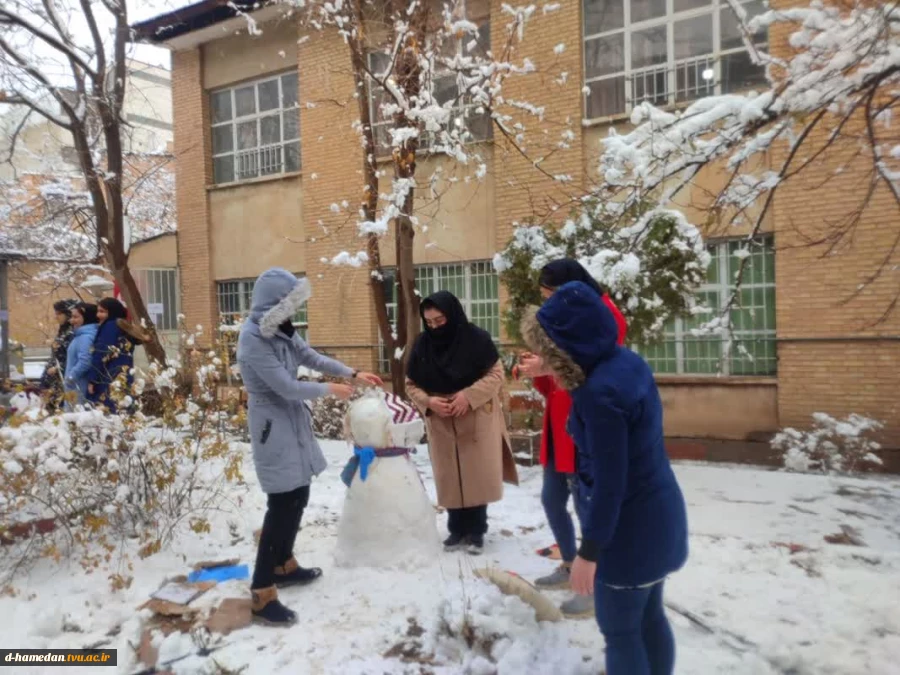 برگزاری جشنواره ساخت آدم برفی 2