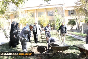 گزارش تصویری از روند ساخت المان و فضا سازی شهید گمنام در آموزشکده ملی مهارت دختران همدان 7