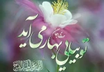 سالروز میلاد سراسر نور و سرور حضرت صاحب العصر والزمان، امام مهدی(عج) مبارک باد 2